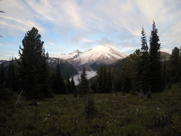 DCIM100GOPROGOPR2031.