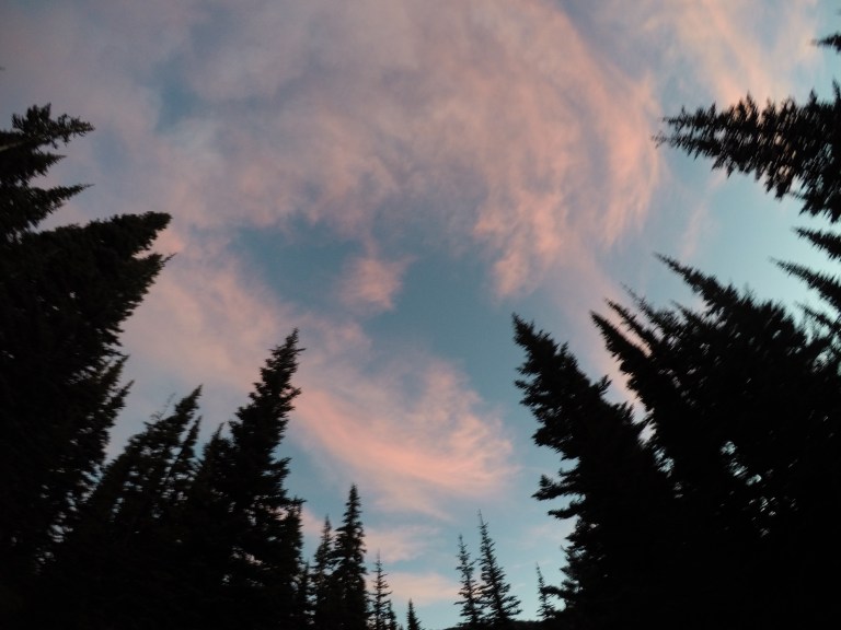 DCIM100GOPROGOPR2016.