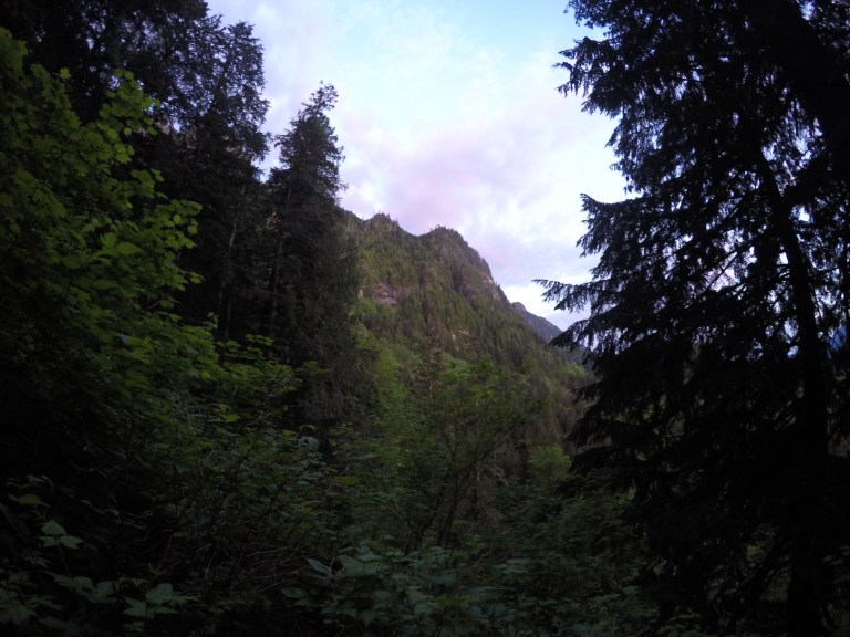 DCIM100GOPROGOPR4260.